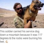 ﻿This soldier carried his service down a mountain because it was 117 degrees & the rocks were burning his feet. dog