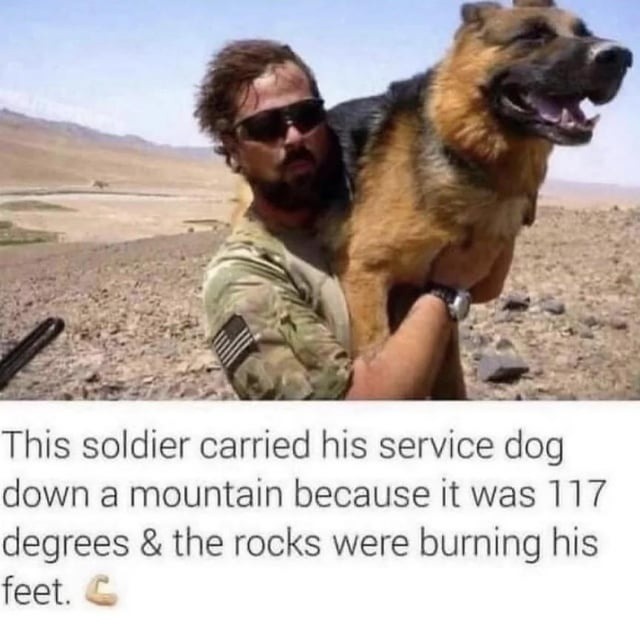 ﻿This soldier carried his service down a mountain because it was 117 degrees & the rocks were burning his feet. dog