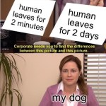 ﻿2 for for 2 Corporate needs you to find the differences between this picture and this picture. my mglip co They’re the same picture. human human leaves leaves minutes days dog