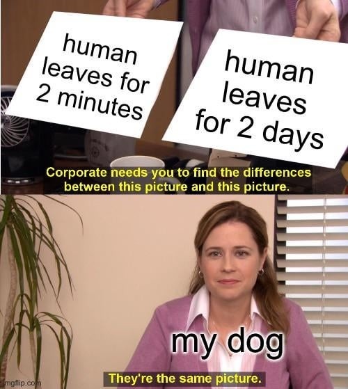 ﻿2 for for 2 Corporate needs you to find the differences between this picture and this picture. my mglip co They’re the same picture. human human leaves leaves minutes days dog