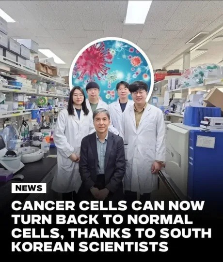﻿NEWS CANCER CELLS CAN NOW TURN BACK TO NORMAL CELLS, THANKS TO SOUTH KOREAN SCIENTISTS