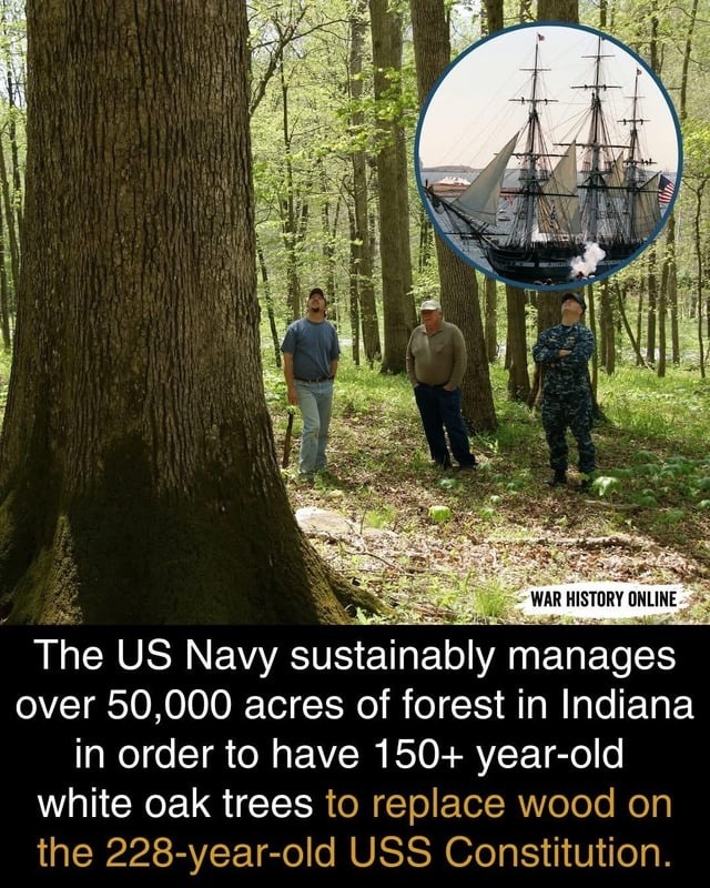 ﻿WAR HISTORY ONLINE The US sustainably manages over 50,000 acres of forest in Indiana in order to have 150+ year-old white oak trees to replace wood on the 228-year-old USS Constitution: Navy