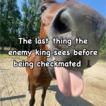 ﻿The last the enemy Sees before checkmated thing king being