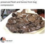 ﻿this is a 4000 year old human reduced to a literal of perfectly preserved flesh and bones from compression Girly World 174 how your email finds me body, bag bog