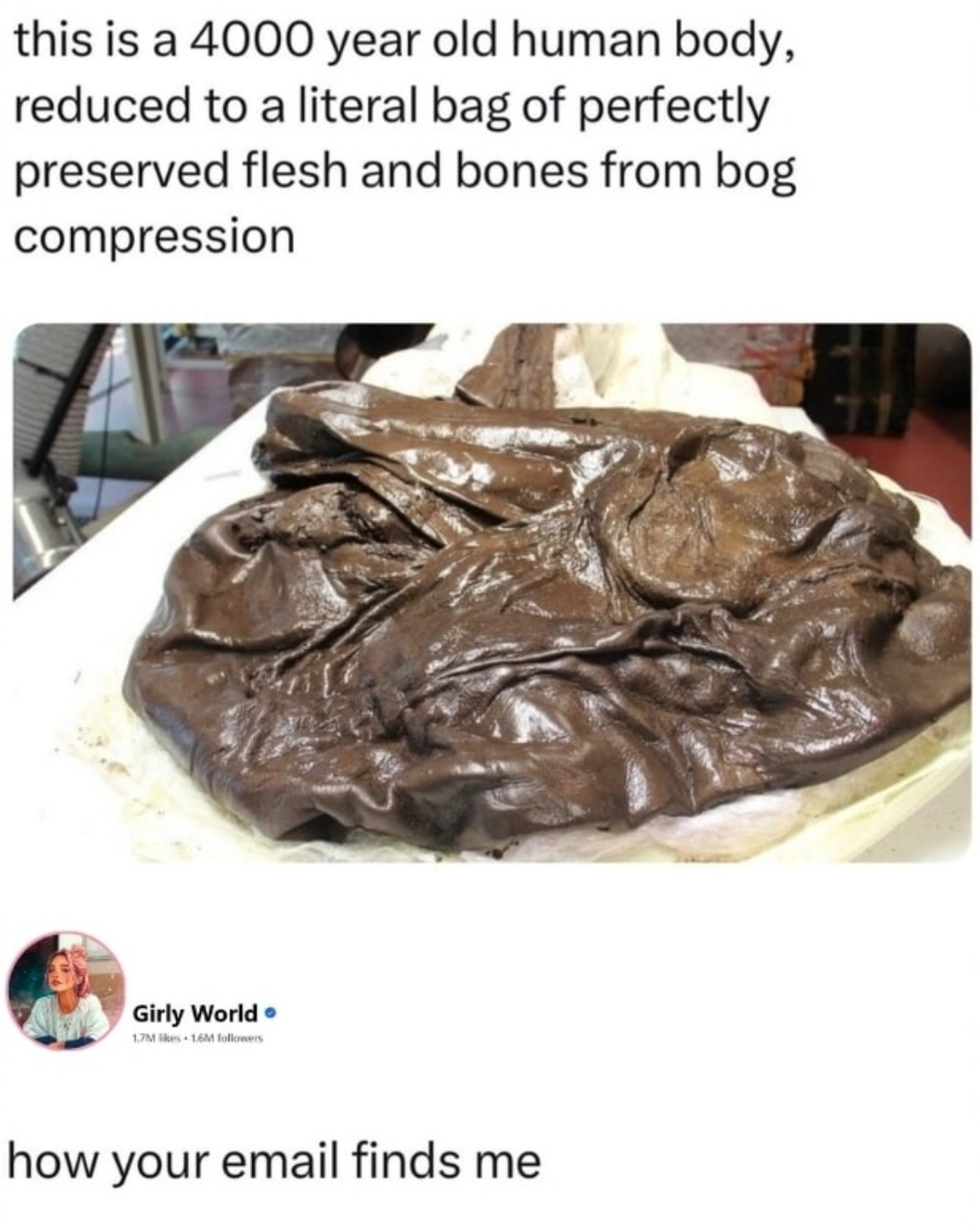 ﻿this is a 4000 year old human reduced to a literal of perfectly preserved flesh and bones from compression Girly World 174 how your email finds me body, bag bog