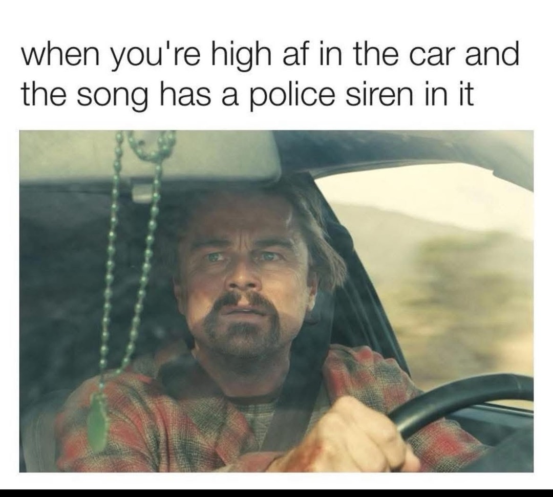 ﻿when you’re high af in the car and the song has a police siren in it