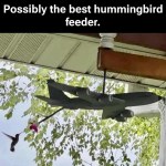 ﻿Possibly the best hummingbird feeder: