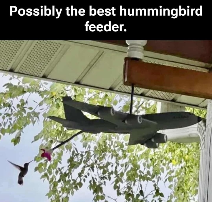 ﻿Possibly the best hummingbird feeder: