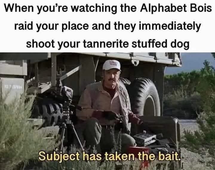 ﻿When ‘re watching the Alphabet Bois raid your place and they immediately shoot your tannerite stuffed Subject has taken the bait: you   dog