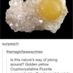 ﻿sunpeach: themagicfarawayttree: Is this nature’$ way of joking around? Golden yellow Cryptocrystalline Fluorite surrounded Quartz crystal points EGG by
