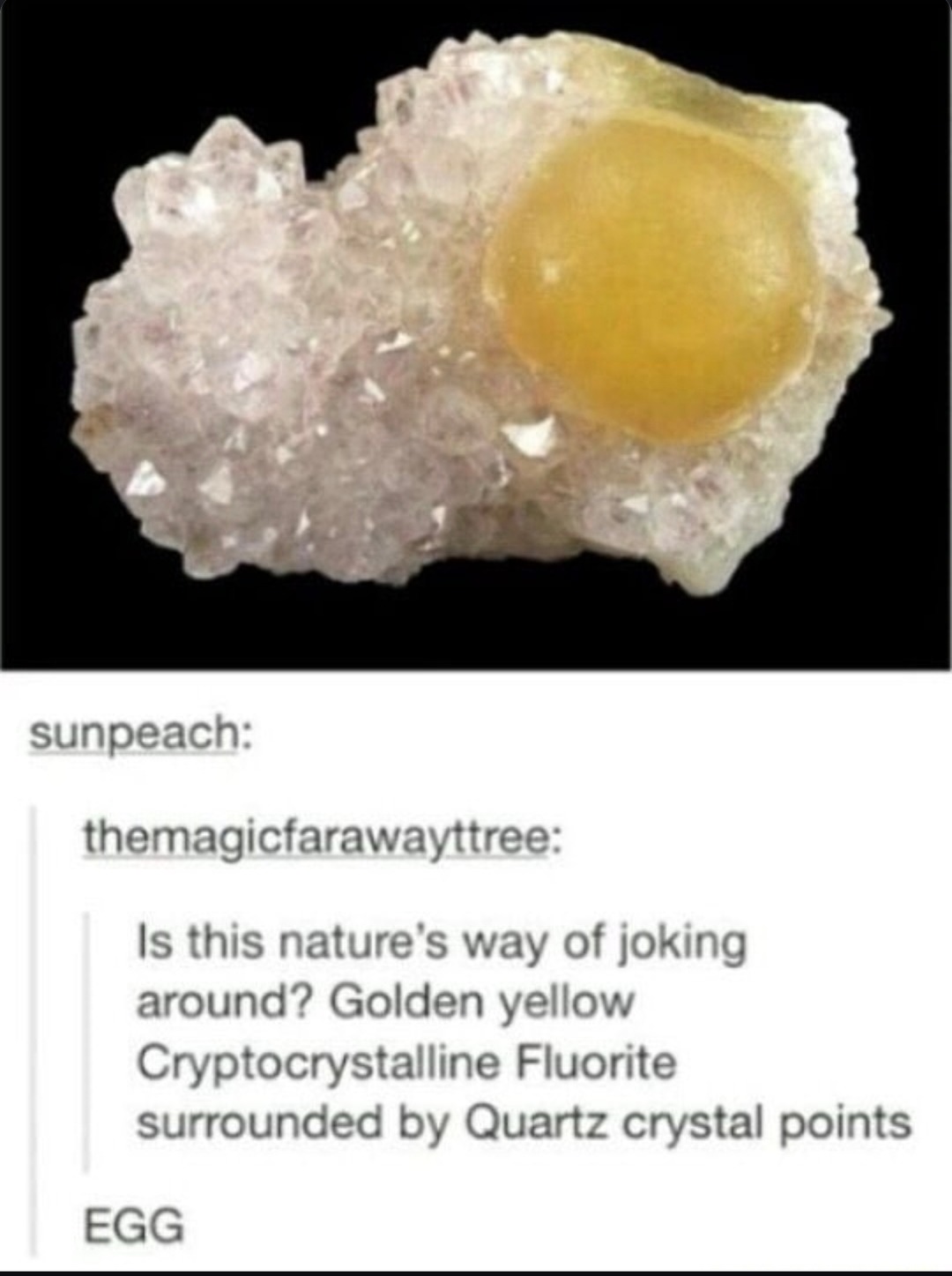 ﻿sunpeach: themagicfarawayttree: Is this nature’$ way of joking around? Golden yellow Cryptocrystalline Fluorite surrounded Quartz crystal points EGG by