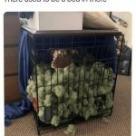 ﻿There used to be a bed in there