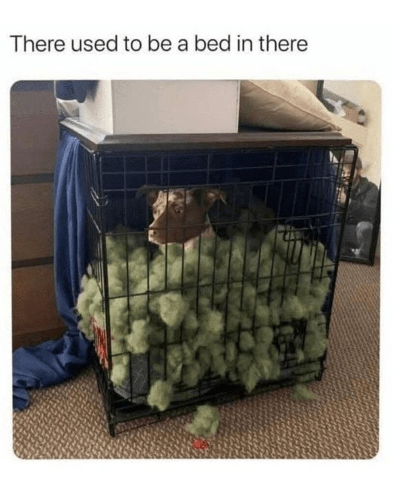﻿There used to be a bed in there