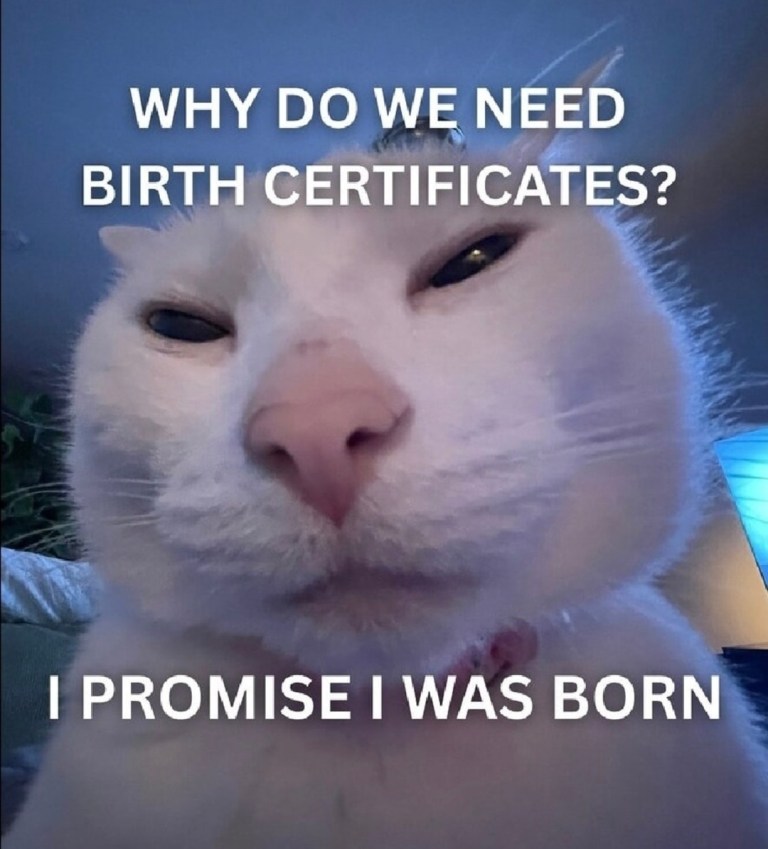 ﻿WHY DO WE NEED BIRTH CERTIFICATES? PROMISE WAS BORN