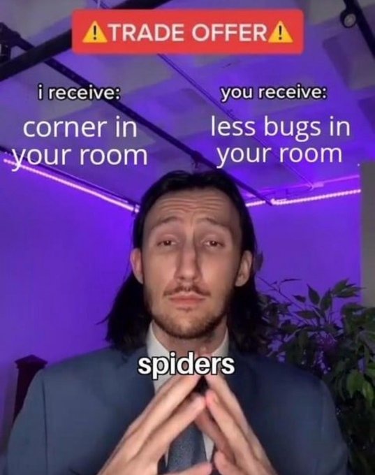 ﻿TRADE OFFER i receive: you receive: corner in less bugs in your room your room spiders