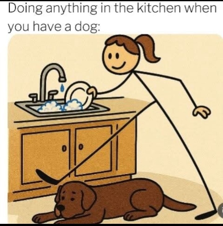 ﻿Doing anything in the kitchen when you have a dog:
