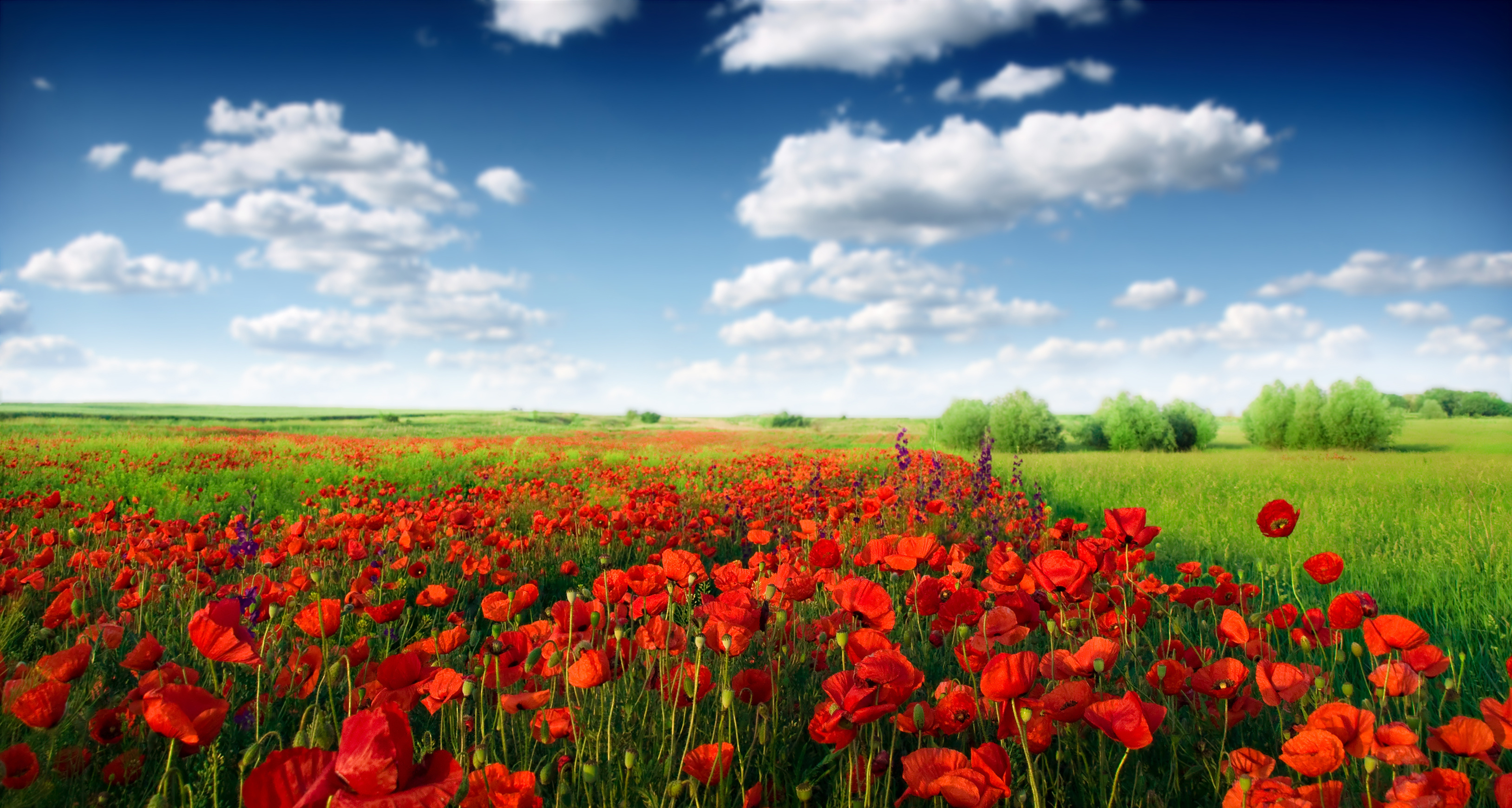 Landschaft Wallpapers, Hintergründe | 5238x2800 | ID:360169