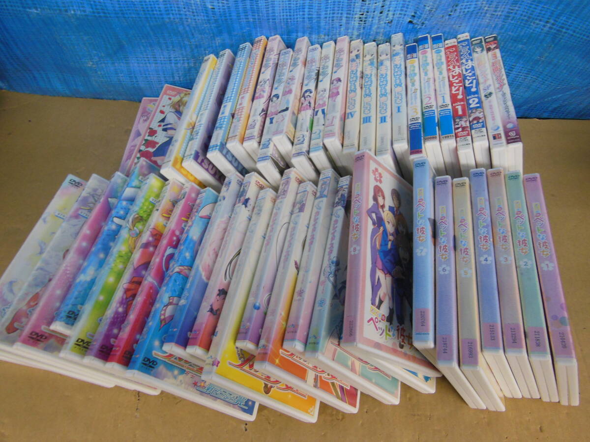 あみ さくらぐみ