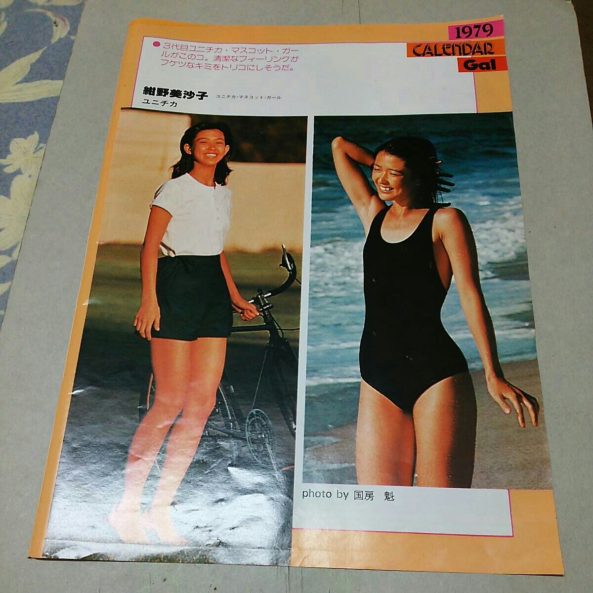 紺野 美沙子 水着