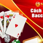 Khám phá cách chơi bầu cua ngày tết và mẹo chiến thắng khi chơi bầu cua trong dịp lễ hội