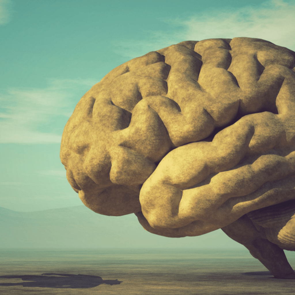 Larger Brains Result in Longer Lifespans, Says New Examine – Decrypt