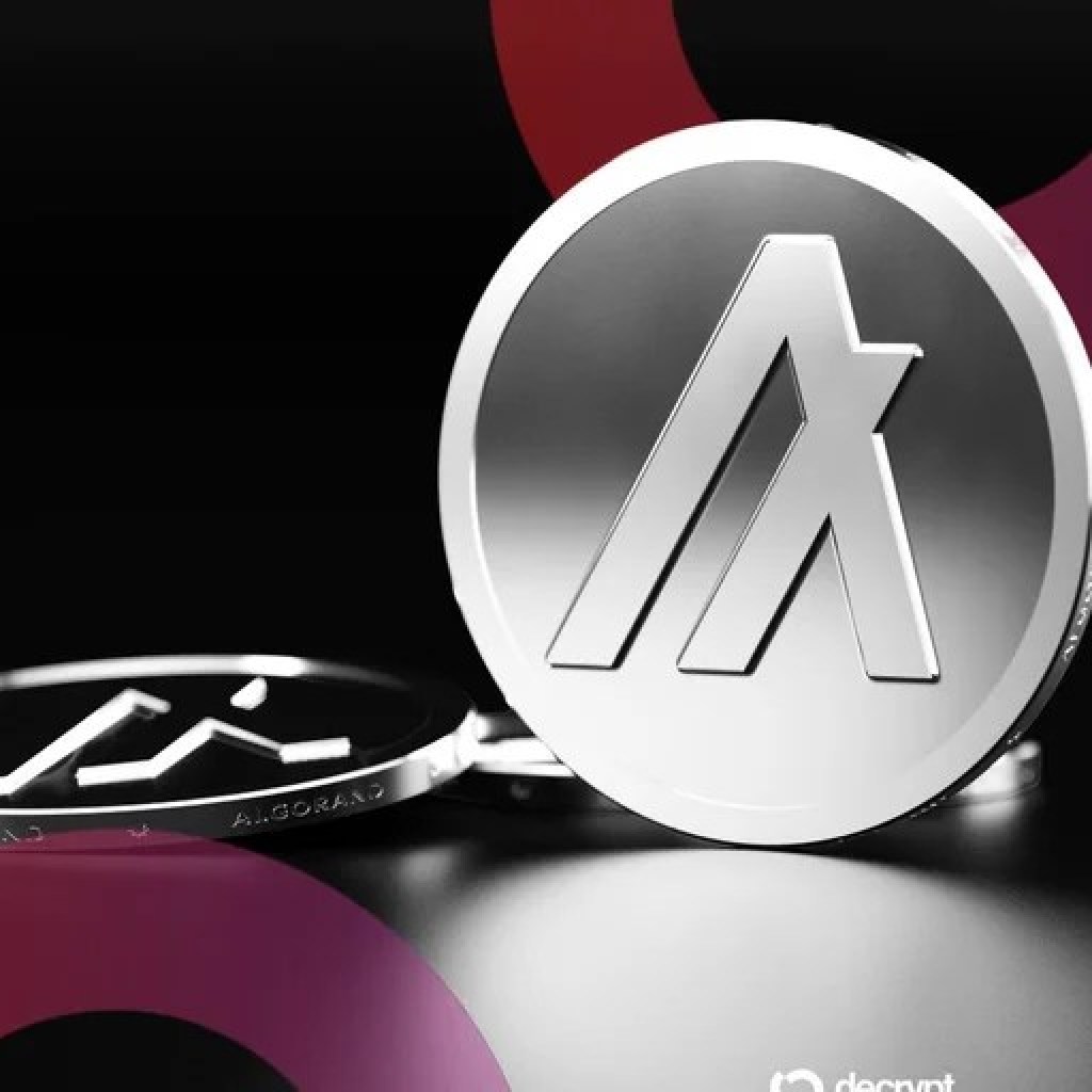 Algorand Soars Double-Digits On Google ‘Publish-Quantum Protocols’ Quotation – Decrypt