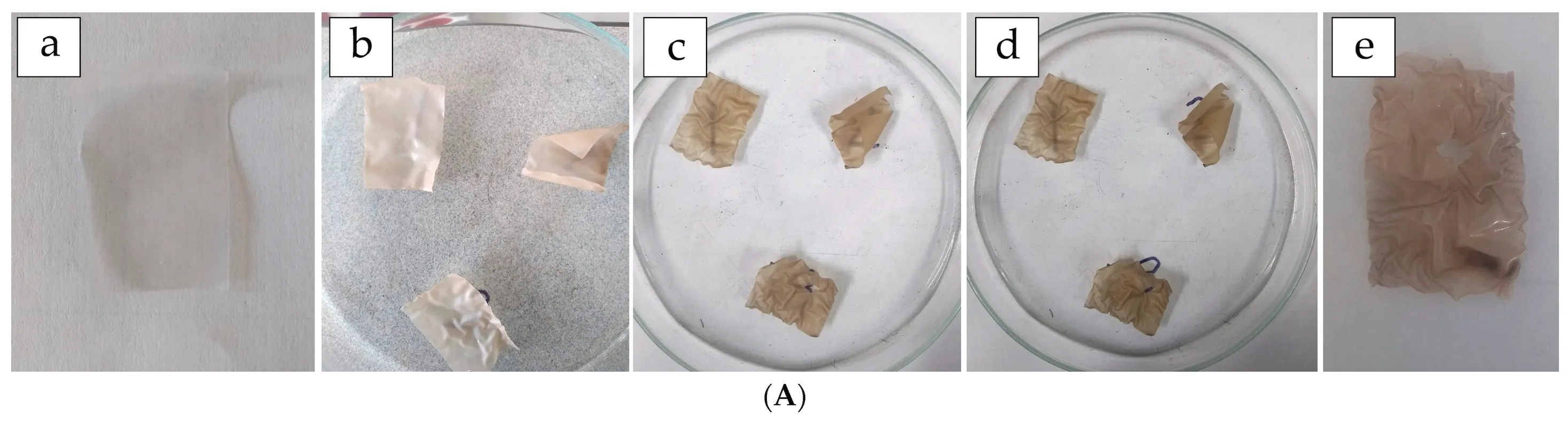 Des scientifiques transforment les protéines du lait en une alternative au plastique biodégradable