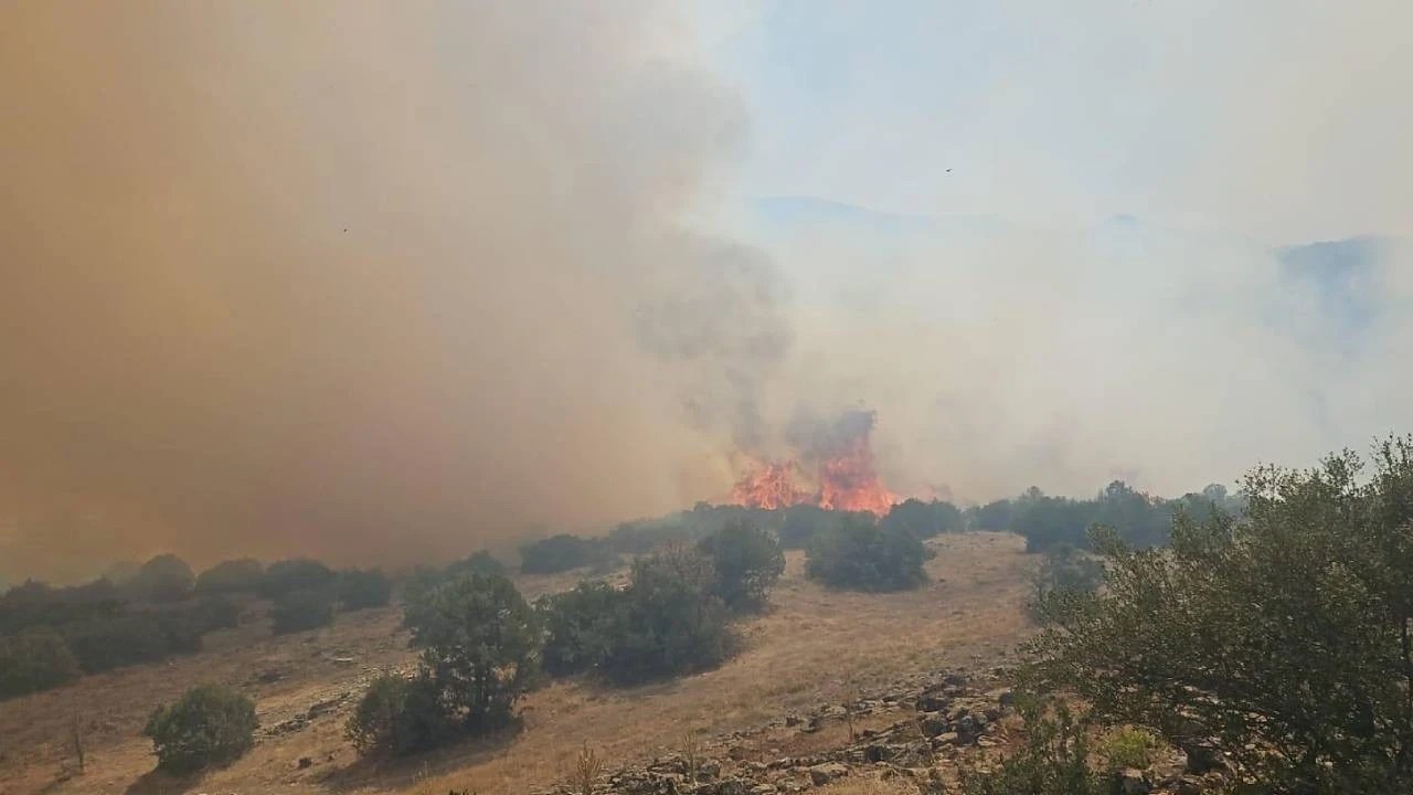 Balıkesir'de orman yangını çıktı (Video)