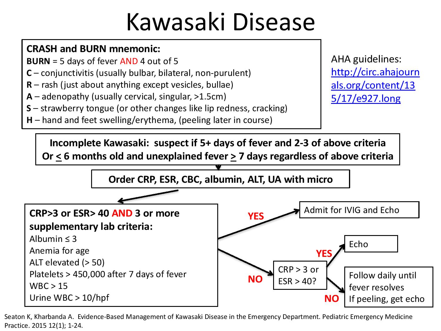 Kawasaki crash and burn