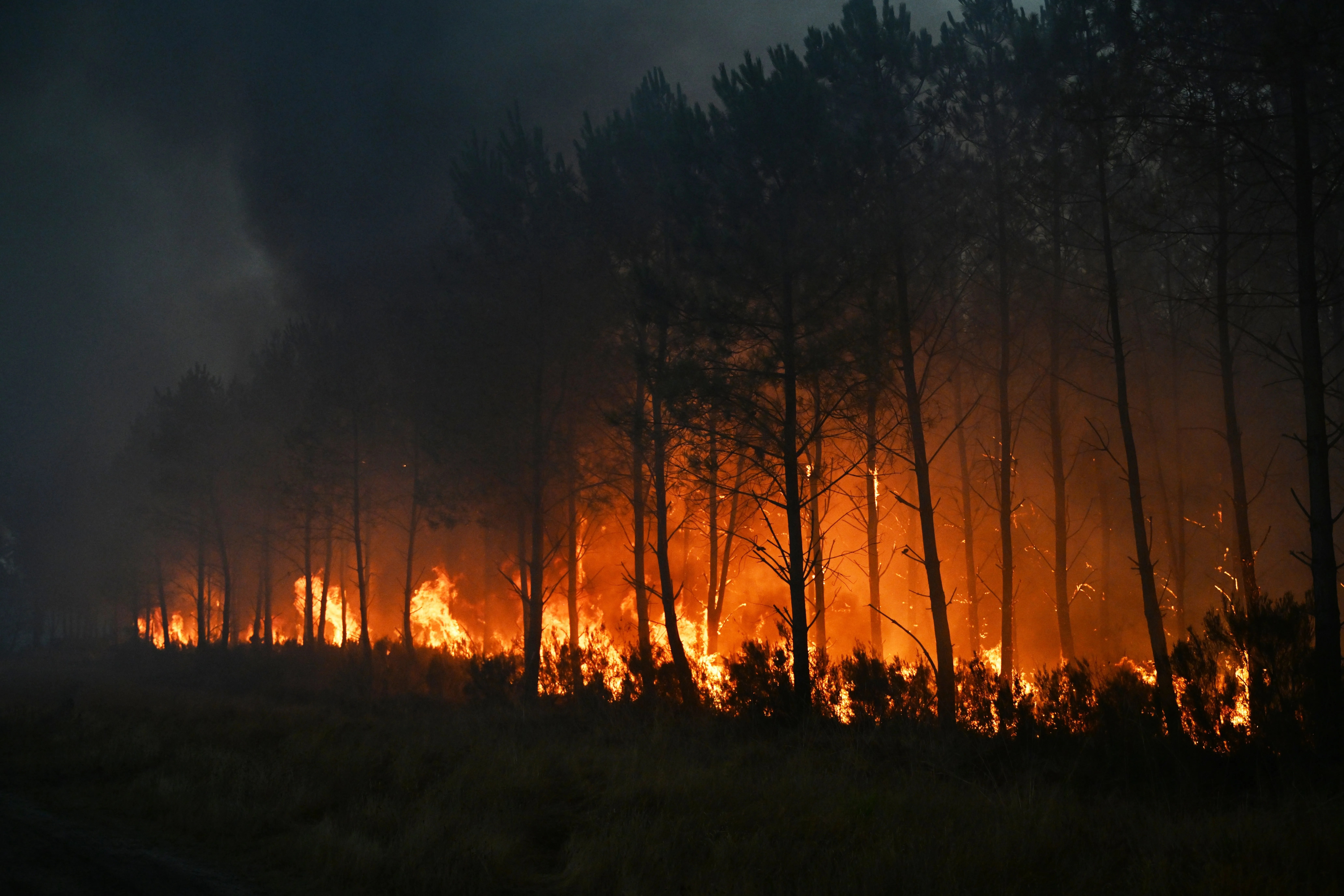 Wildfires In France Drive More Than 250,000 From Their Homes