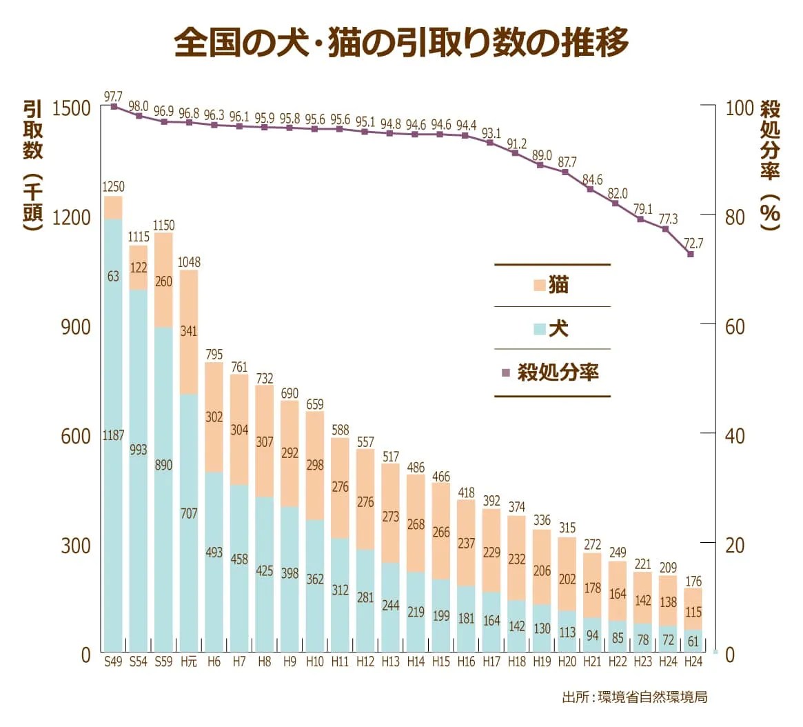 アニマル セラピー 問題 点