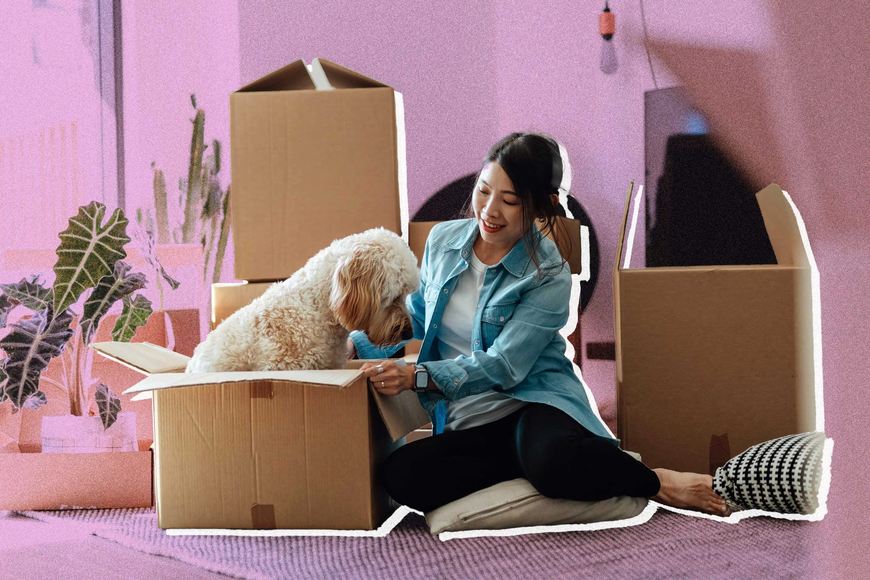 Renters vs. Pet Insurance: What’s Covered and What’s Not