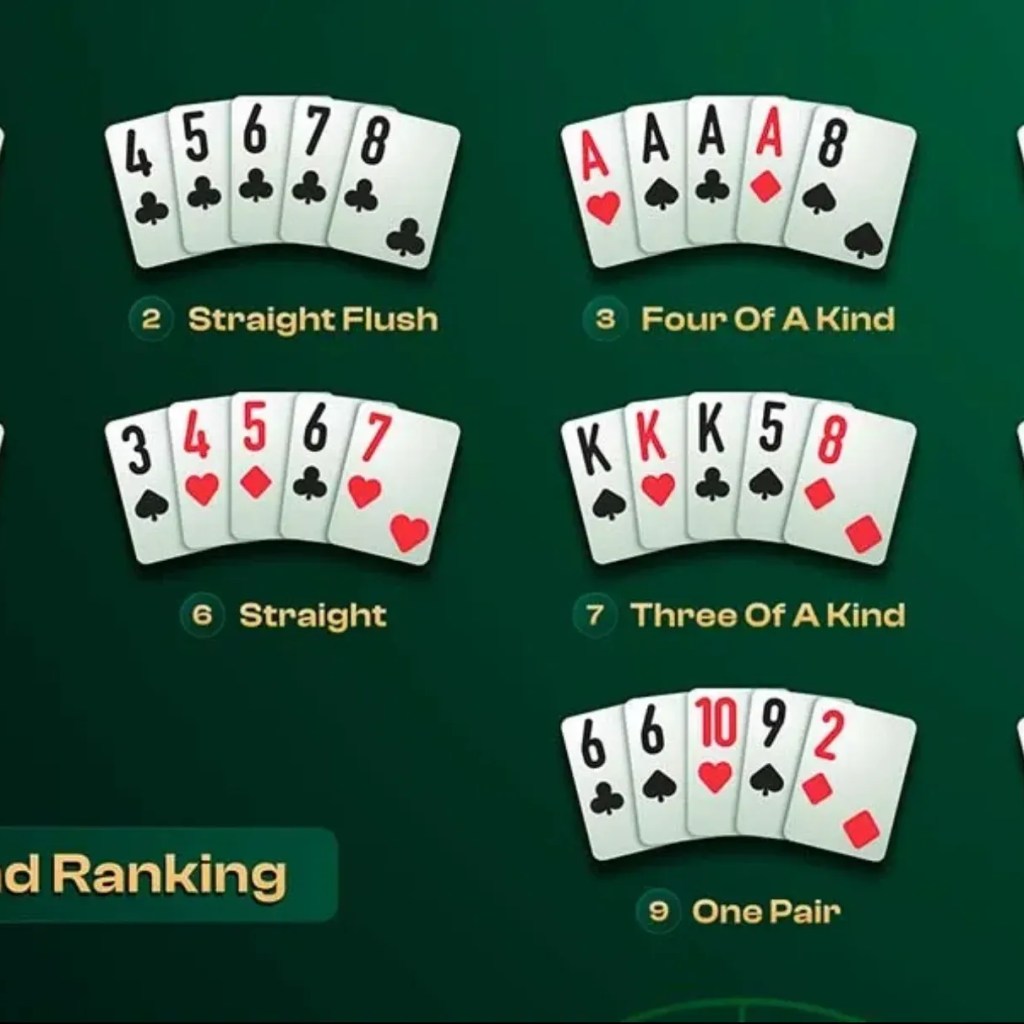 Khám phá sodo app và mẹo sử dụng sodo app hiệu quả cho người mới bắt đầu