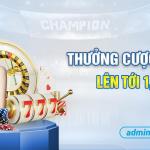 Khám phá ngay Poki game.com với hàng loạt trò chơi thú vị chỉ có tại Poki game.com