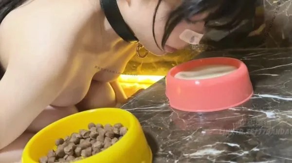 创可贴贴-5.11凌晨兩點醒來發現我的小狗變成了美少女[V,574M]