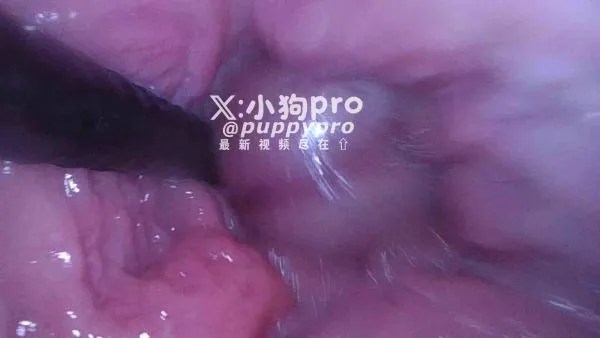 puppypro（小狗pro）-新付费福利小合集[2V,382M]