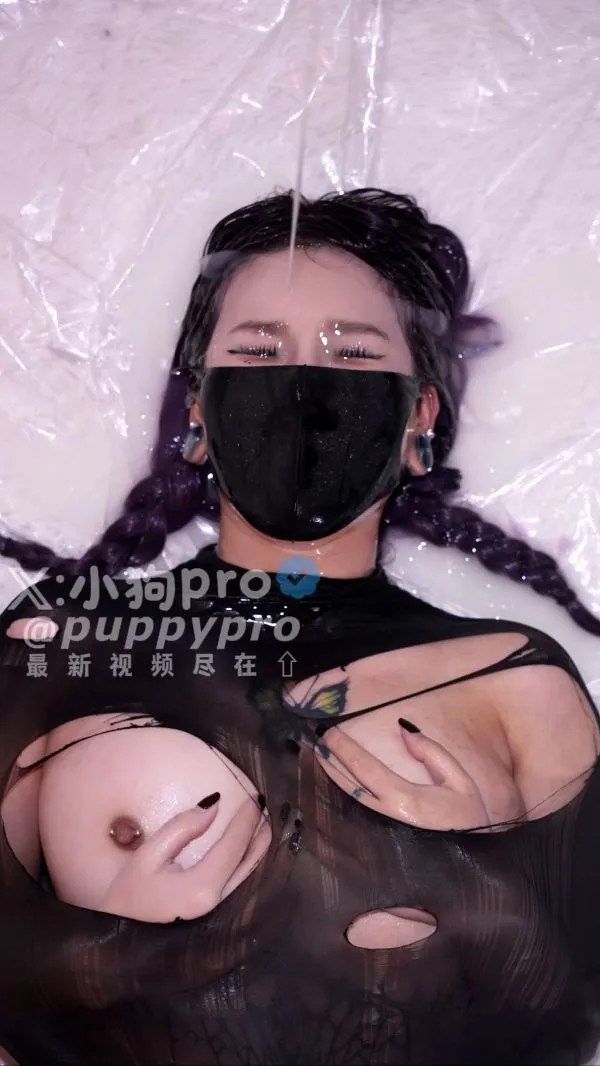 puppypro（小狗pro）-付费新 包身黑丝后入拳交[1V317M]