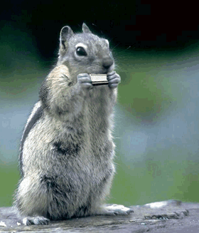 ᐅ Lustige Animationen Bilder - Lustige Animationen Gb Pics - Gbpicsonline 327_x_280_gif