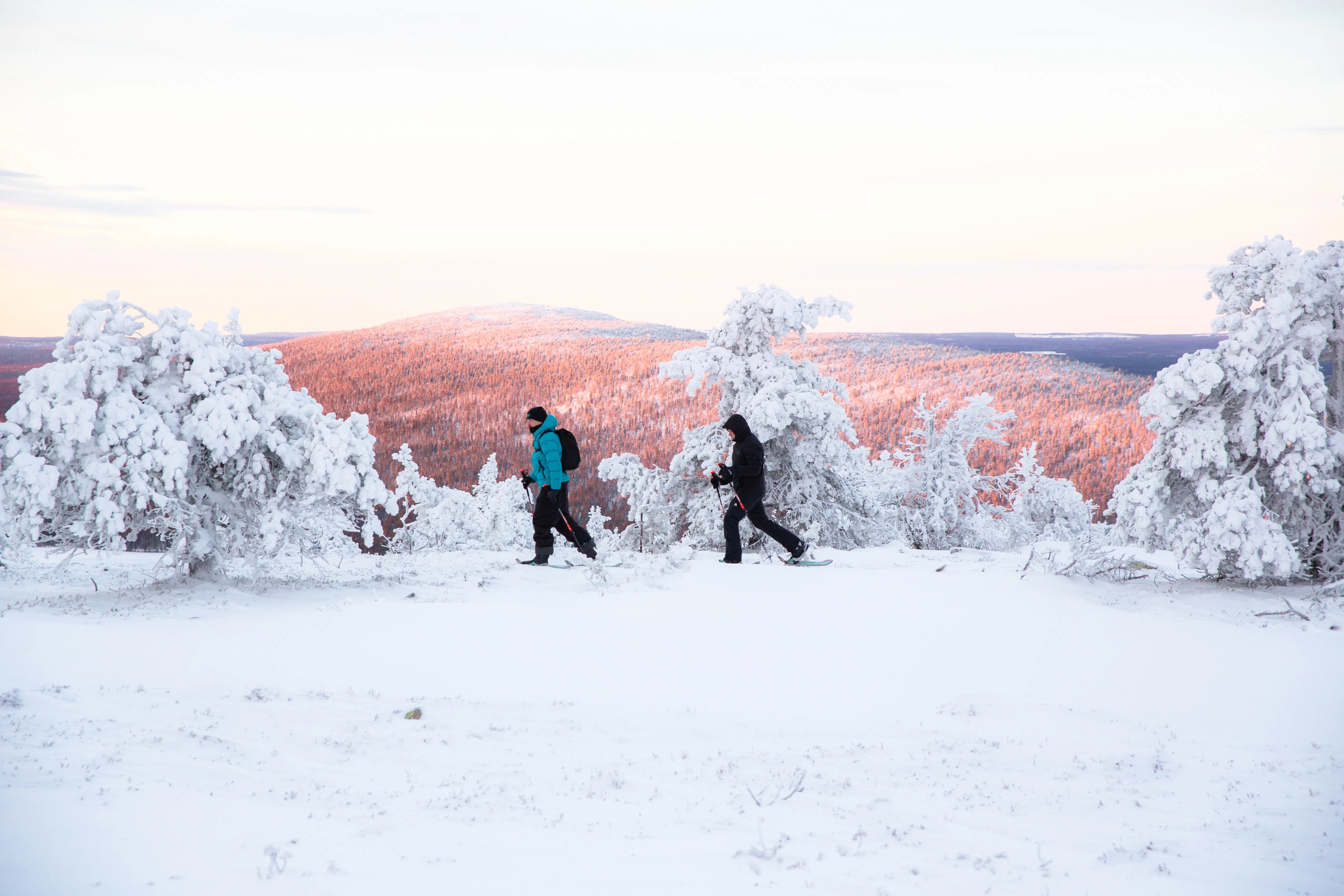 Snowshoeing in Levi, Kelo Rental & Safaris