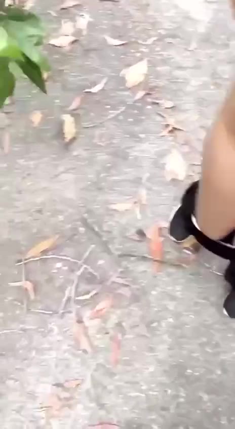 Hijab Barbar Eksib Diluar Rumah Tele Asupanjilbab