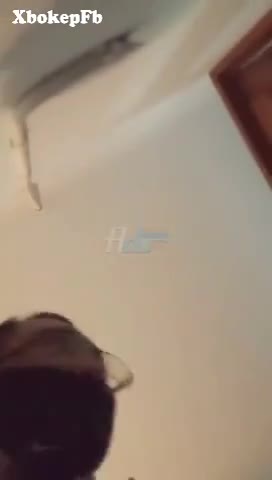 Bokep Simontok Pembuahan Awal Ramadhan Xbokepfb Bokepsatset