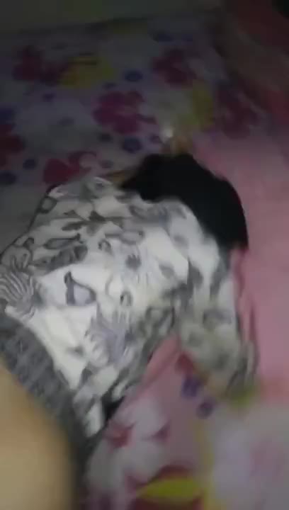Pacaran Sama Cewek Jilbab Bisa Ngewe Doodstream