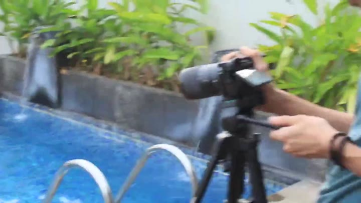 Brother Musang Bokepsatset Bokep Video Dood Asupan Viral