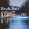 fruit bats - Glass in Your Feet