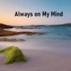Always on My Mind