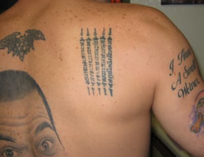 Steve-O Tattoos | List Of Steve-O Tattoo Designs 576_x_750_jpg