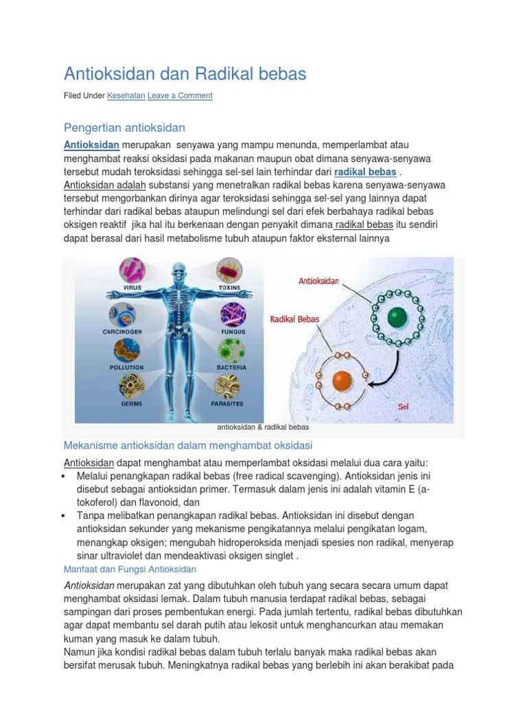 Antioksidan Dan Radikal Bebas | PDF