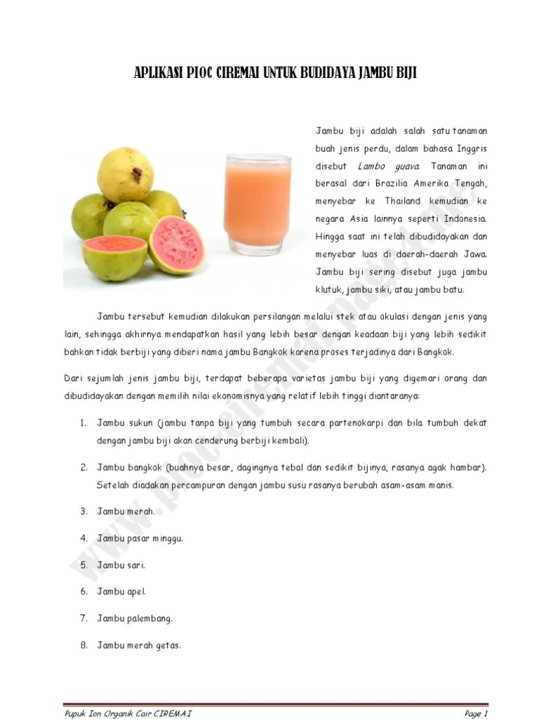 Cara Membuat Jus Jambu Biji Dalam Bahasa Inggris – Goreng