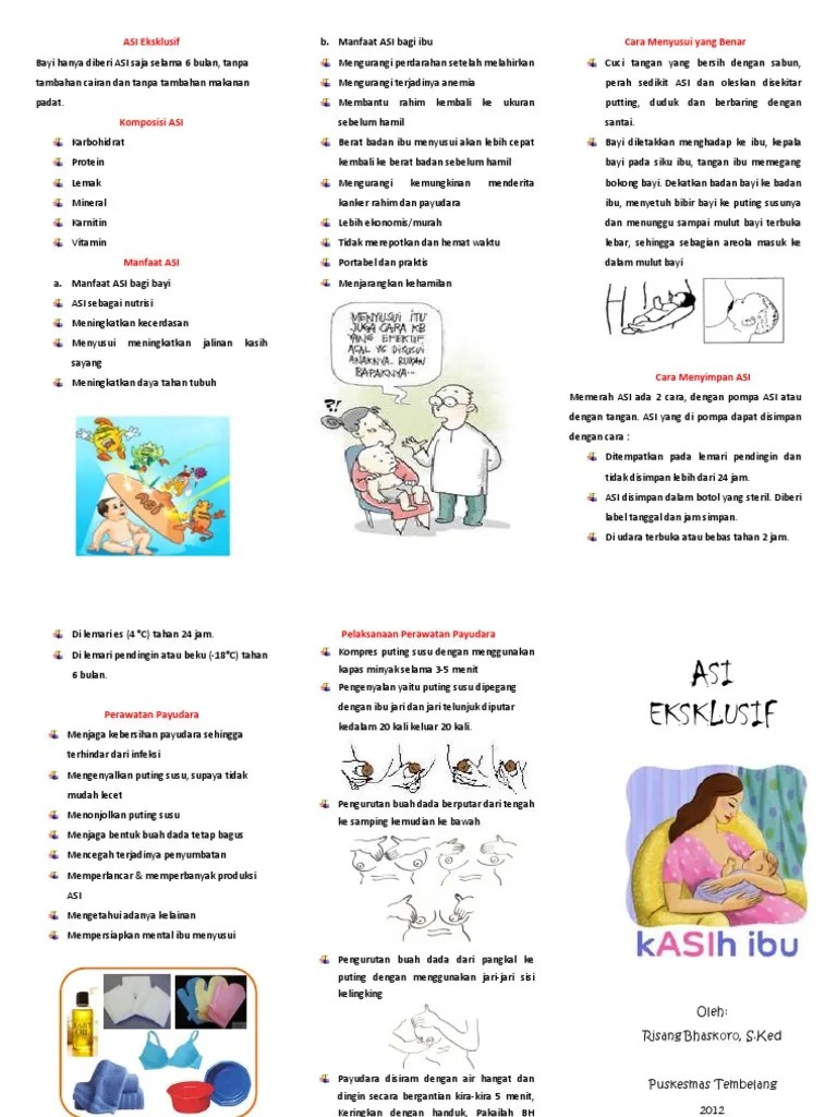 Penyuluhan Asi Eksklusif | PDF