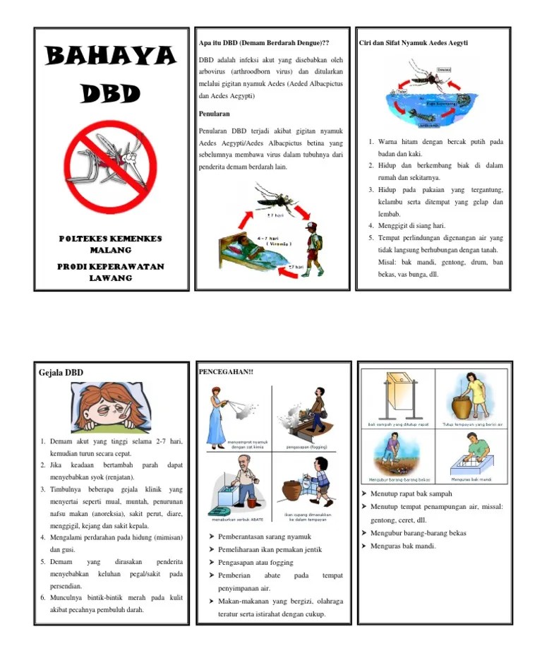 Leaflet DBD | PDF